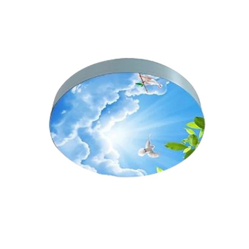 Waterproof Landmark Skylight Outdoor Pathway Walkway Passageway Lane Field Led Flood Light